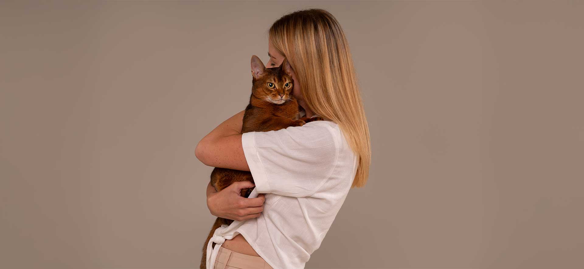 abrazar a tu gato